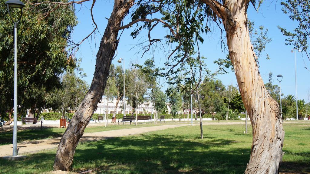 Apartment Los Eucaliptus L'Eucaliptus Ngoại thất bức ảnh